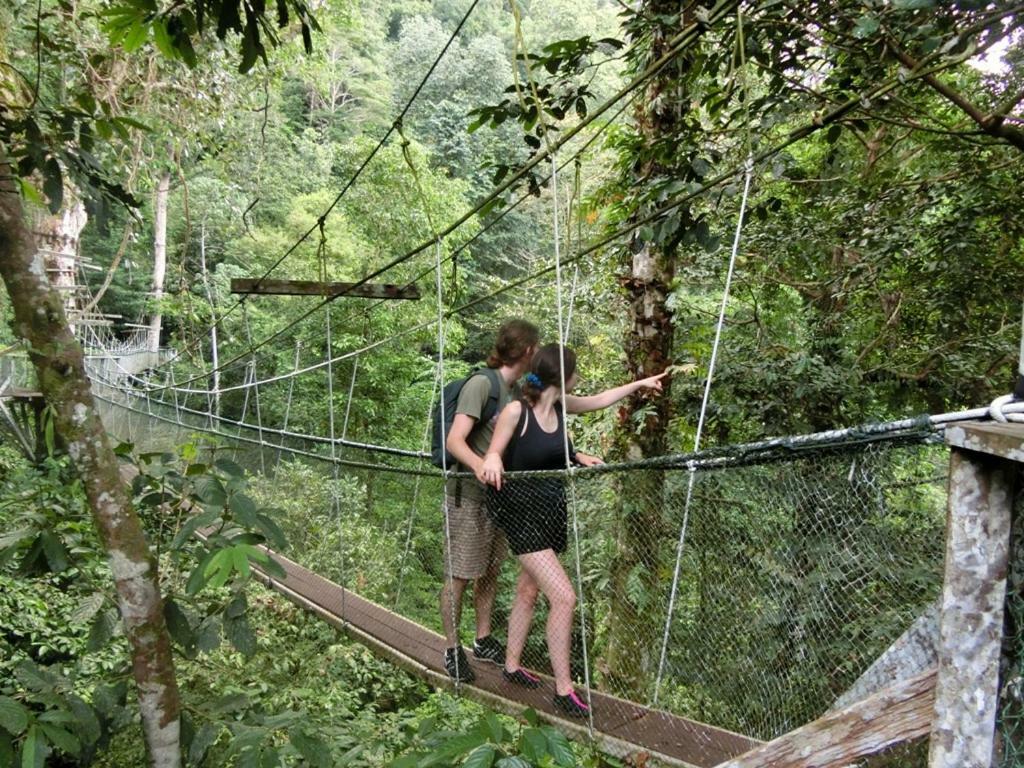 Mulu National Park Hotel Exterior photo