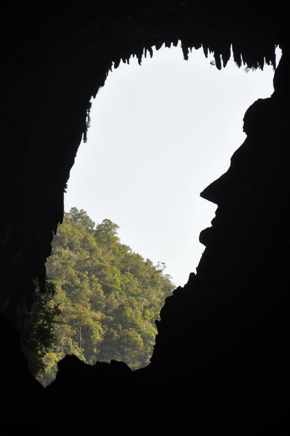 Mulu National Park Hotel Exterior photo